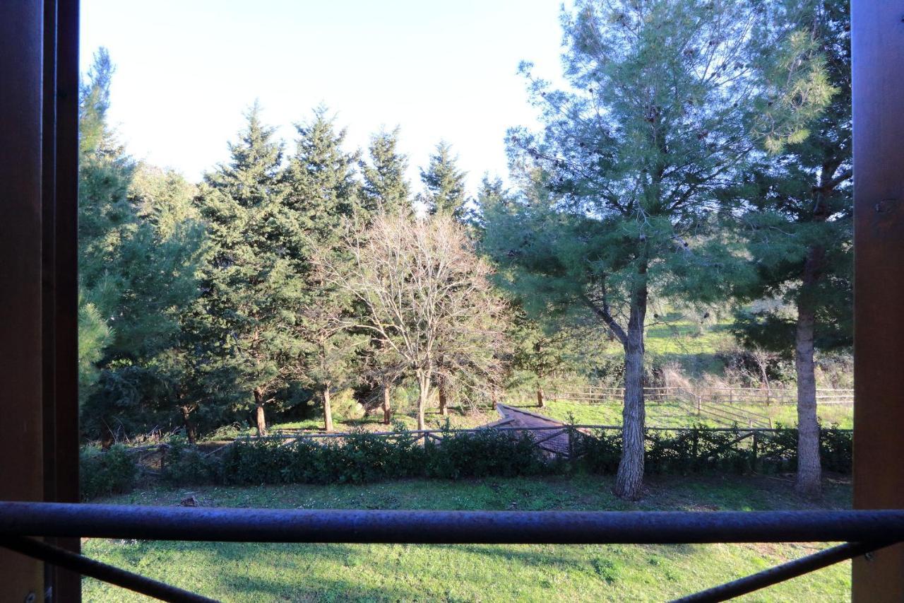 Agriturismo Pimpinnacolo Porto Ercole  Zewnętrze zdjęcie